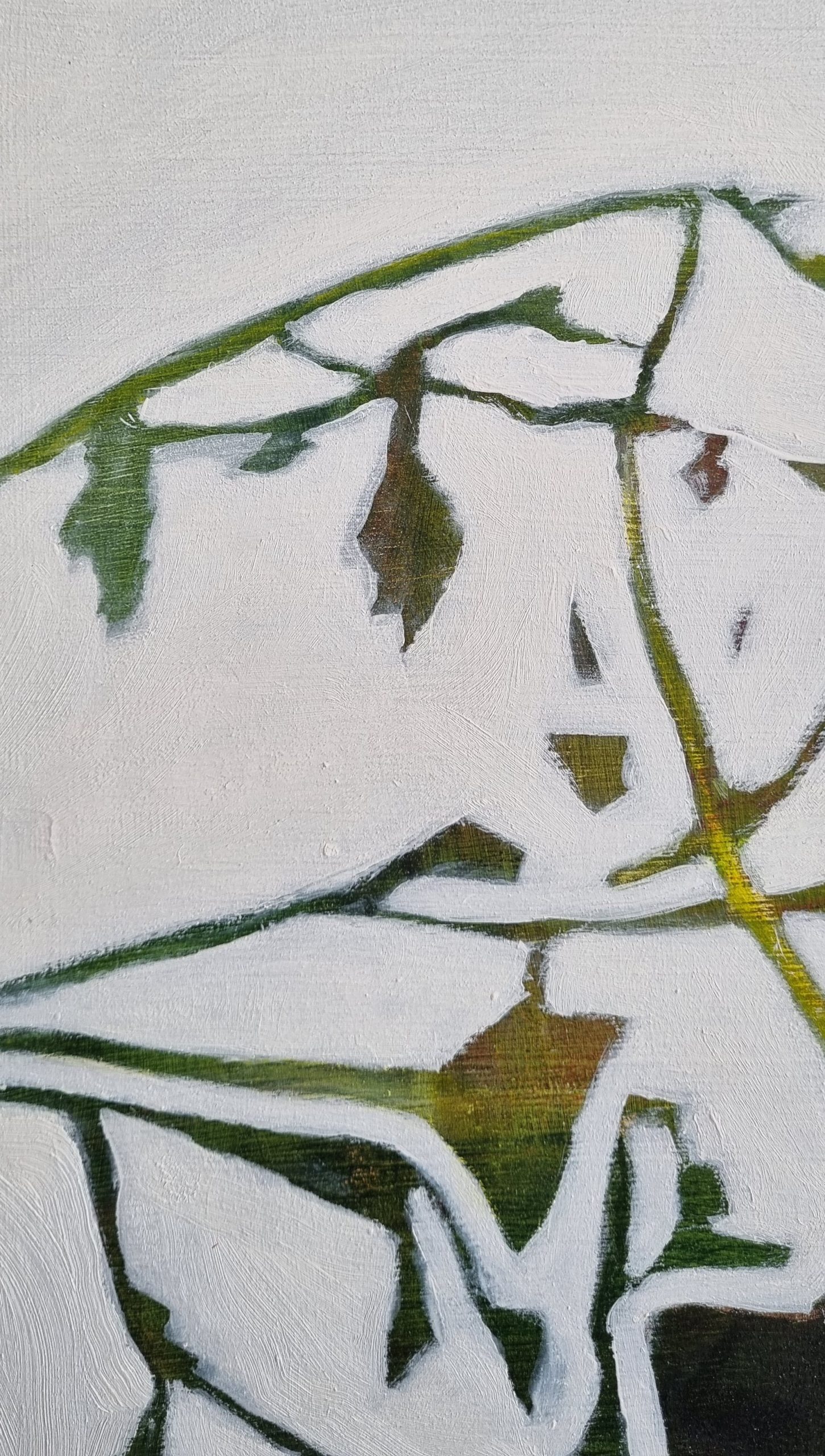 Treasures - Image 4